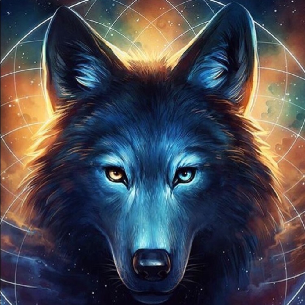 Meet your Posher, Noemi